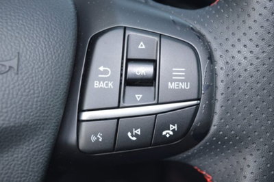 Ford Kuga 1.5 EcoBlue 120 CV 2WD ST-Line (14)