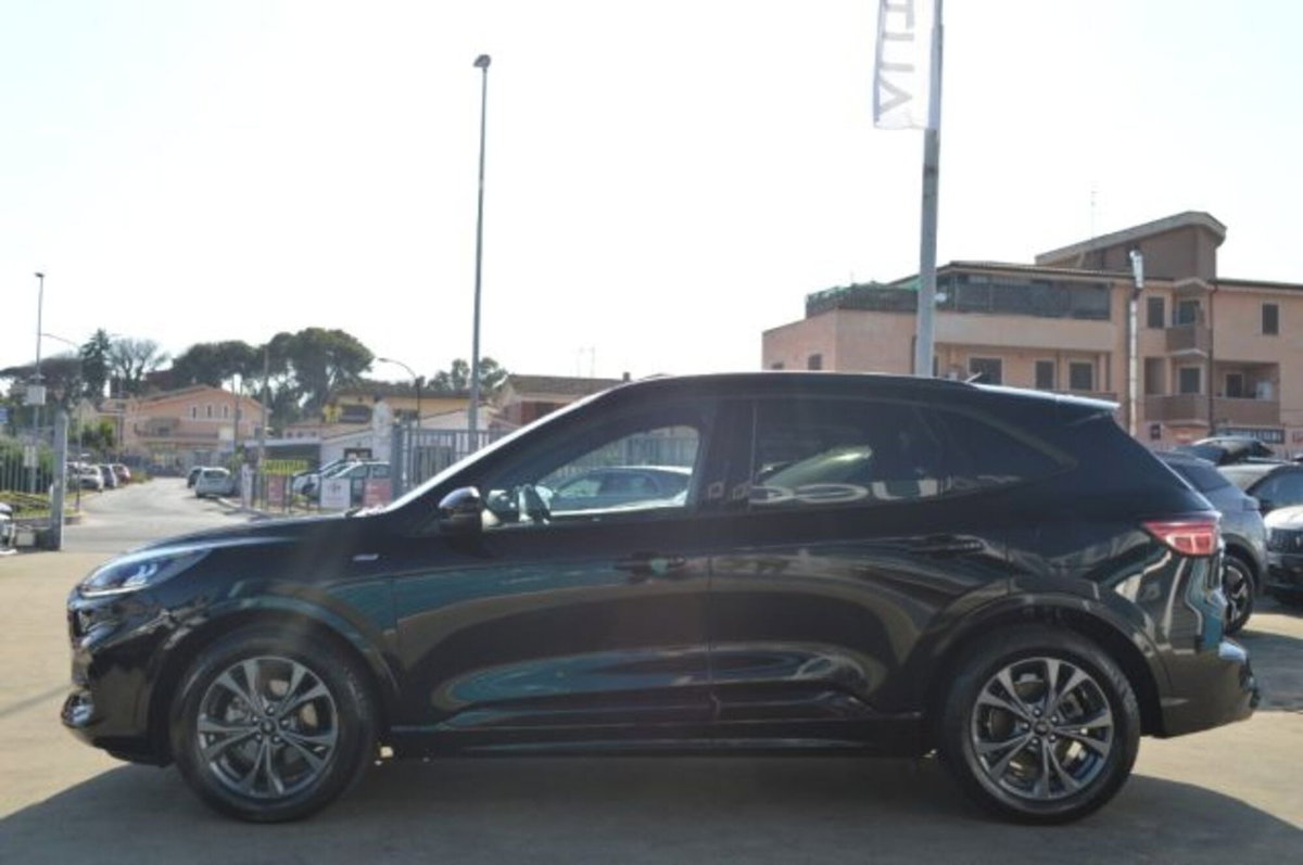 Ford Kuga 1.5 EcoBlue 120 CV 2WD ST-Line (5)