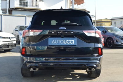 Ford Kuga 1.5 EcoBlue 120 CV 2WD ST-Line (6)