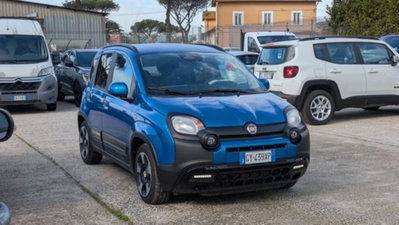 Fiat Panda Cross 1.0 firefly hybrid Cross s&s 70cv 5p.ti (3)
