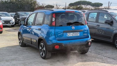 Fiat Panda Cross 1.0 firefly hybrid Cross s&s 70cv 5p.ti (6)