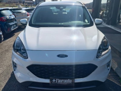 Ford Kuga 1.5 EcoBlue 120 CV 2WD Titanium usata