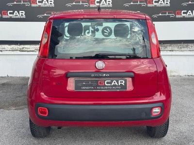 Fiat Panda 1.2 Easy (6)