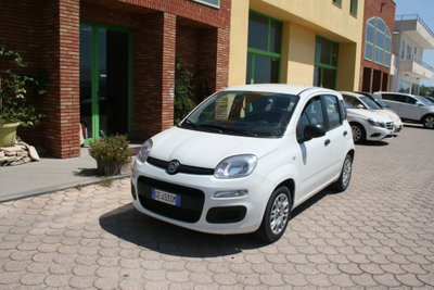 Fiat Panda 1.0 FireFly S&S Hybrid Easy (2)