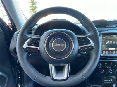 Jeep Renegade 1.6 mjt Limited 2wd 130cv (17)