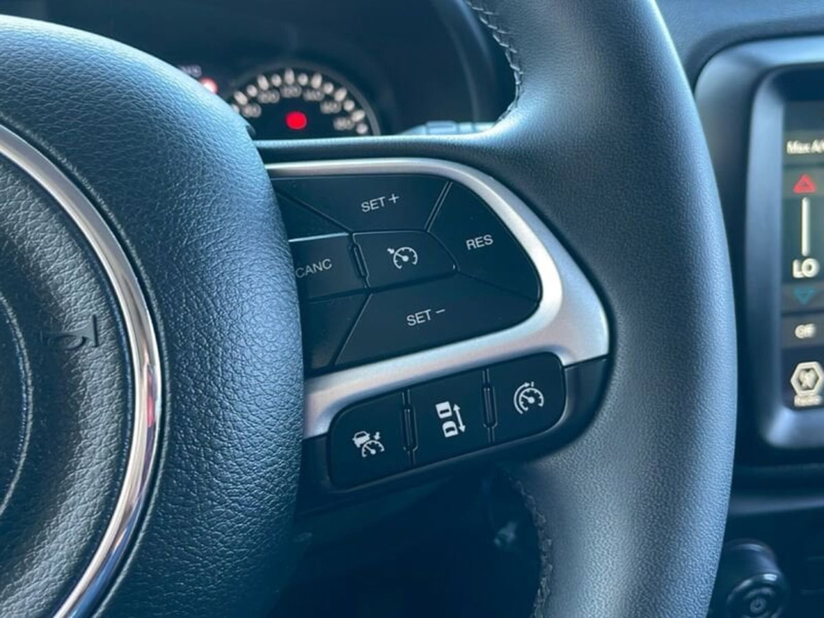 Jeep Renegade 1.6 mjt Limited 2wd 130cv (19)
