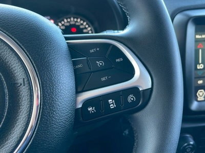 Jeep Renegade 1.6 mjt Limited 2wd 130cv (19)