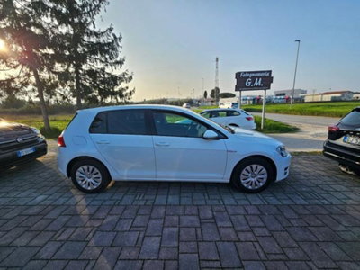 Volkswagen Golf 1.4 TGI 5p. Comfortline BlueMotion (6)