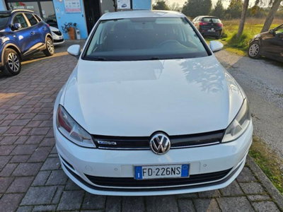 Volkswagen Golf 1.4 TGI 5p. Comfortline BlueMotion (8)