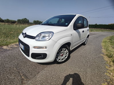 Fiat Panda 1.2 EasyPower Lounge usata