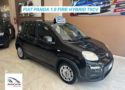 Fiat Panda 1.0 FireFly S&S Hybrid usata
