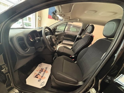 Fiat Panda 1.0 FireFly S&S Hybrid (17)