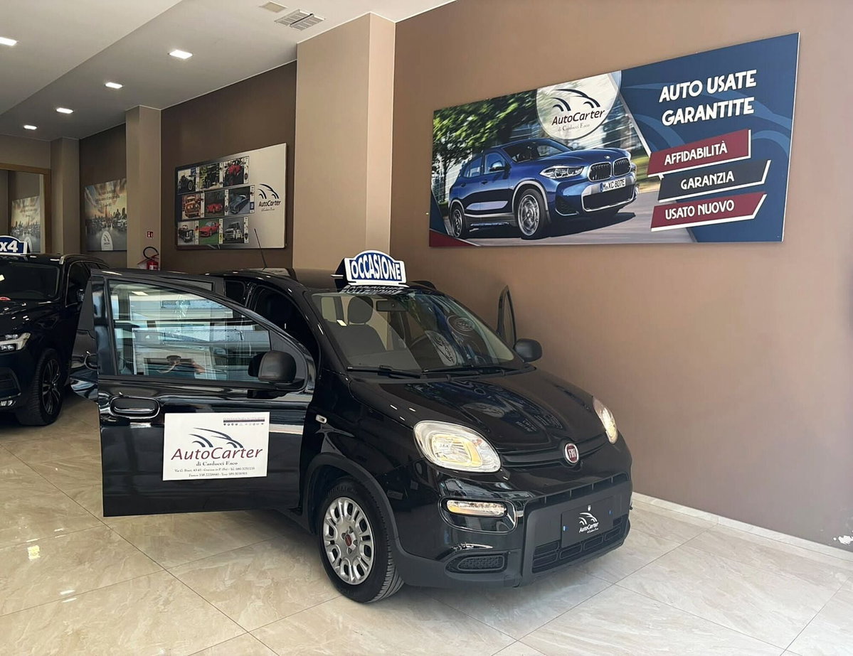 Fiat Panda 1.0 FireFly S&S Hybrid (19)