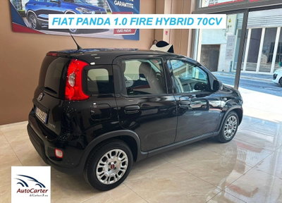 Fiat Panda 1.0 FireFly S&S Hybrid (6)