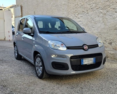 Fiat Panda 1.0 FireFly S&S Hybrid usata