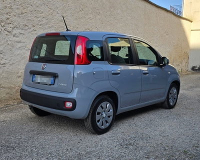 Fiat Panda 1.0 FireFly S&S Hybrid (3)