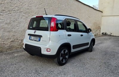 Fiat Panda 1.0 FireFly S&S Hybrid City Life (4)