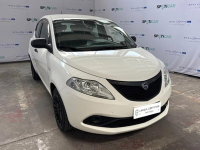 Lancia Ypsilon 1.2 69 CV 5 porte GPL Ecochic Elefantino Blu usata