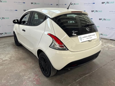 Lancia Ypsilon 1.2 69 CV 5 porte GPL Ecochic Elefantino Blu (3)