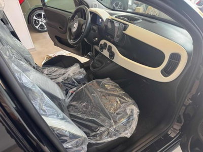 Fiat Panda Cross 1.0 firefly hybrid Cross s&s 70cv 5p.ti (11)