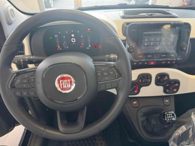 Fiat Panda Cross 1.0 firefly hybrid Cross s&s 70cv 5p.ti (14)