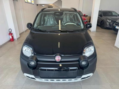 Fiat Panda Cross 1.0 firefly hybrid Cross s&s 70cv 5p.ti (2)