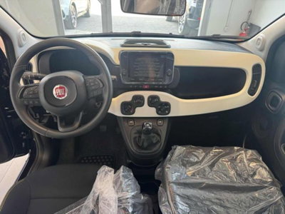 Fiat Panda Cross 1.0 firefly hybrid Cross s&s 70cv 5p.ti (9)