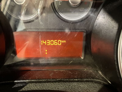 Fiat Punto Evo 1.3 MJT 95 DPF S&S 5p.Van Dynamic (14)