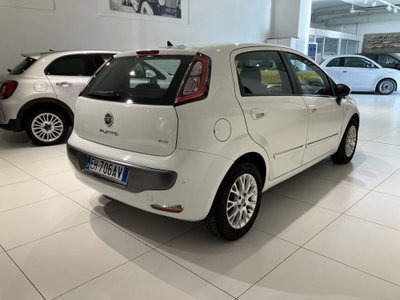 Fiat Punto Evo 1.3 MJT 95 DPF S&S 5p.Van Dynamic (6)