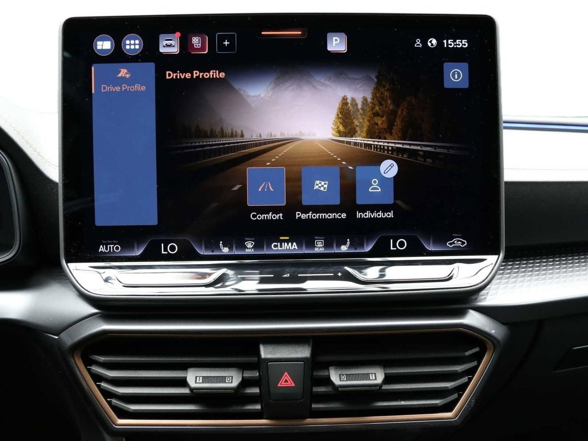 Cupra Formentor Formentor 1.5 TSI (12)