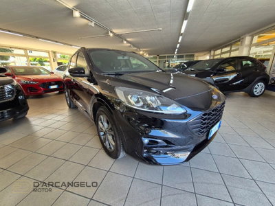 Ford Kuga 2.5 Full Hybrid 190 CV CVT 2WD ST-Line X (3)