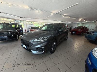 Ford Kuga 1.5 EcoBlue 120 CV 2WD ST-Line usata