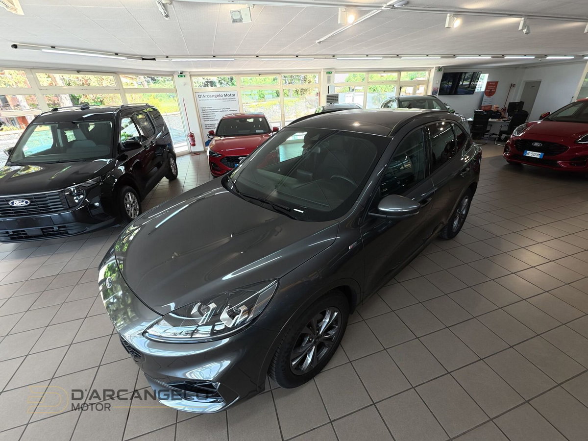 Ford Kuga 1.5 EcoBlue 120 CV 2WD ST-Line (11)