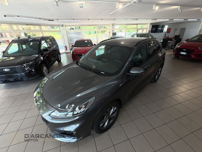 Ford Kuga 1.5 EcoBlue 120 CV 2WD ST-Line (11)