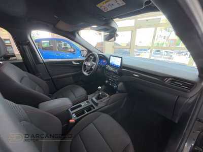 Ford Kuga 1.5 EcoBlue 120 CV 2WD ST-Line (16)