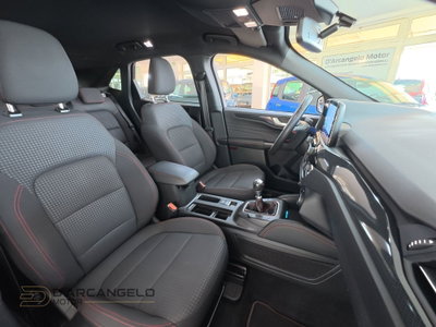 Ford Kuga 1.5 EcoBlue 120 CV 2WD ST-Line (17)