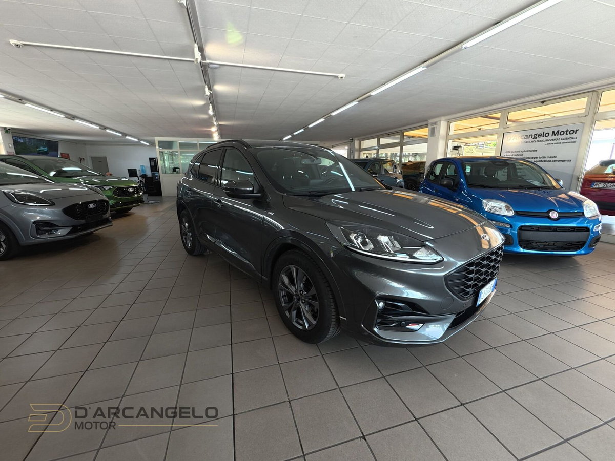 Ford Kuga 1.5 EcoBlue 120 CV 2WD ST-Line (3)