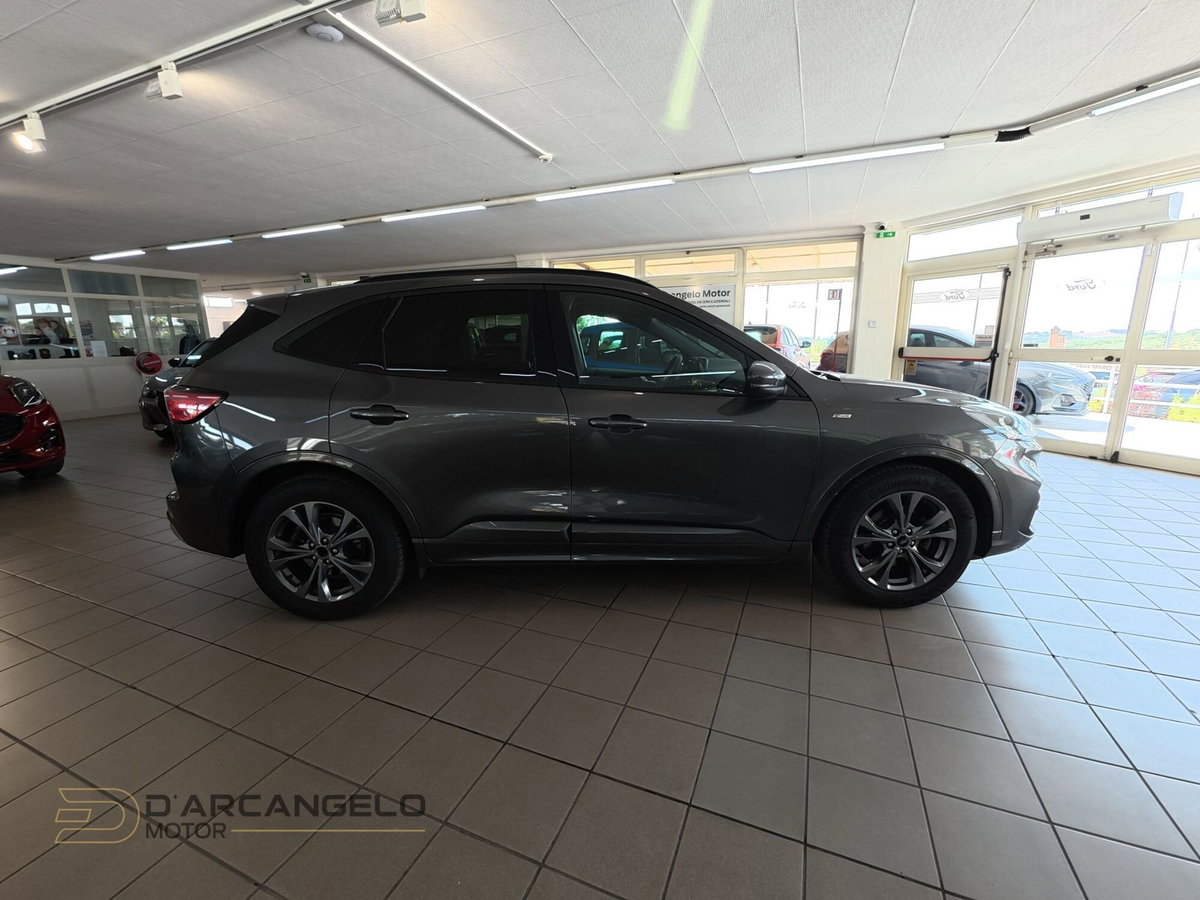 Ford Kuga 1.5 EcoBlue 120 CV 2WD ST-Line (4)