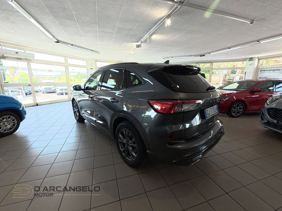 Ford Kuga 1.5 EcoBlue 120 CV 2WD ST-Line (7)