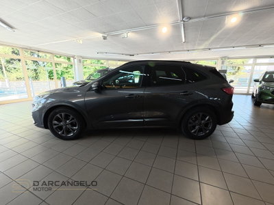 Ford Kuga 1.5 EcoBlue 120 CV 2WD ST-Line (8)