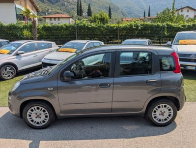 Fiat Panda 1.2 Easy (2)