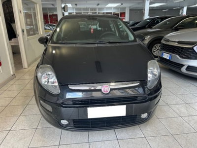 Fiat Punto Evo 1.2 5 porte S&S Dynamic (3)
