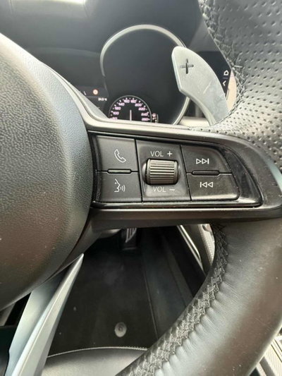 Alfa Romeo Stelvio Stelvio 2.2 Turbodiesel 210 CV AT8 Q4 Veloce Tì (20)