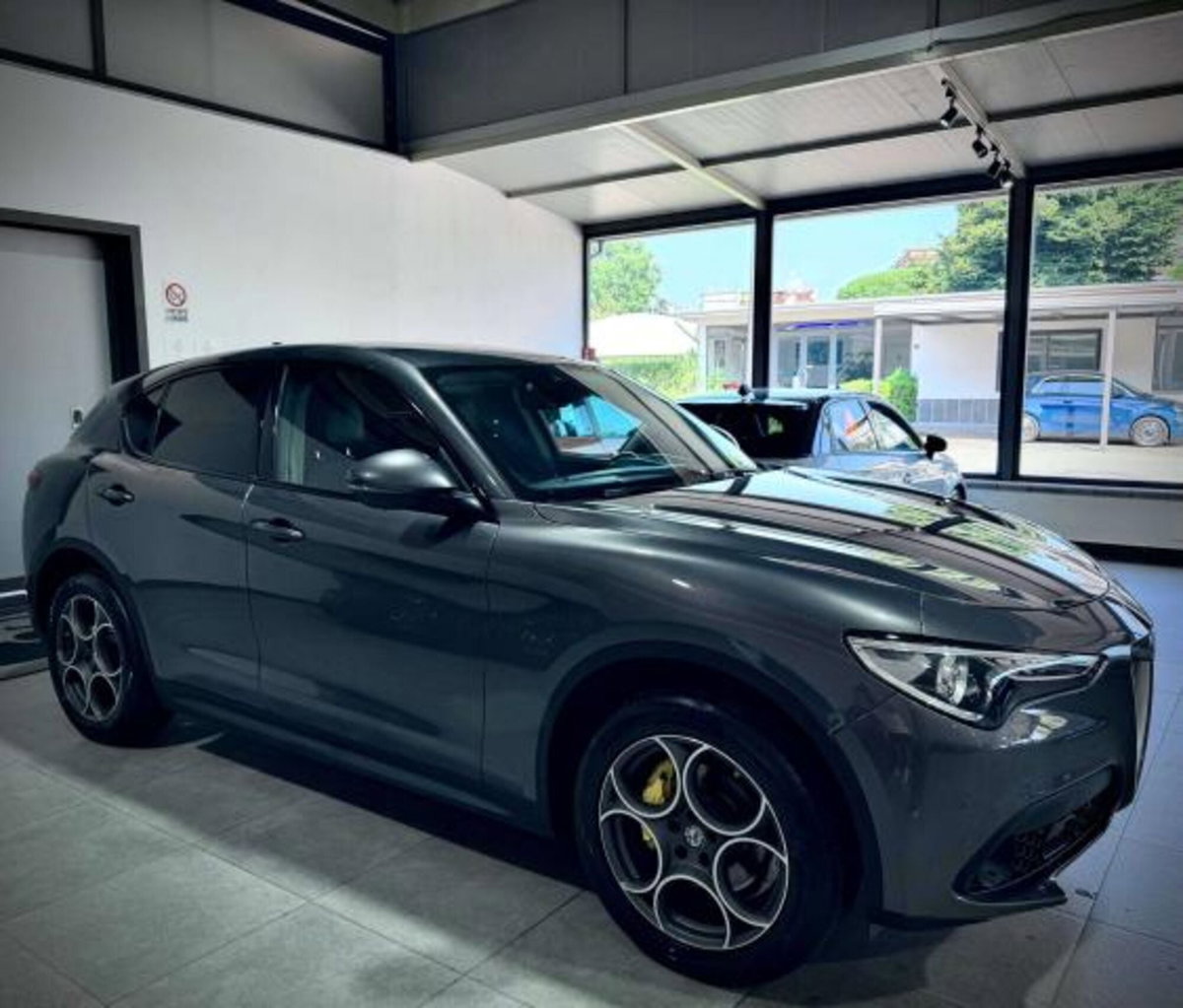 Alfa Romeo Stelvio Stelvio 2.2 Turbodiesel 210 CV AT8 Q4 Executive (6)