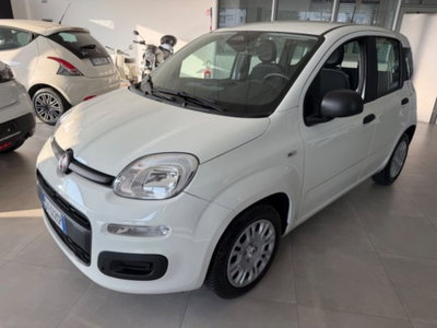 Fiat Panda 1.0 firefly hybrid s&s 70cv 5p.ti usata