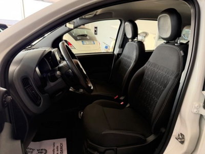 Fiat Panda 1.0 firefly hybrid s&s 70cv 5p.ti (6)