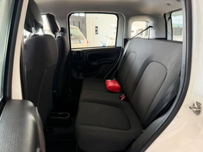 Fiat Panda 1.0 firefly hybrid s&s 70cv 5p.ti (7)