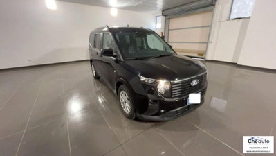 Ford Tourneo Courier 1.0 EcoBoost 100 CV Titanium (3)