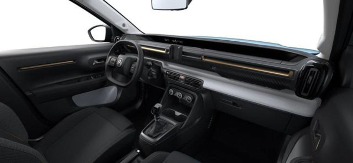 Citroen C3 Aircross 1.2 puretech turbo Business 100cv (3)