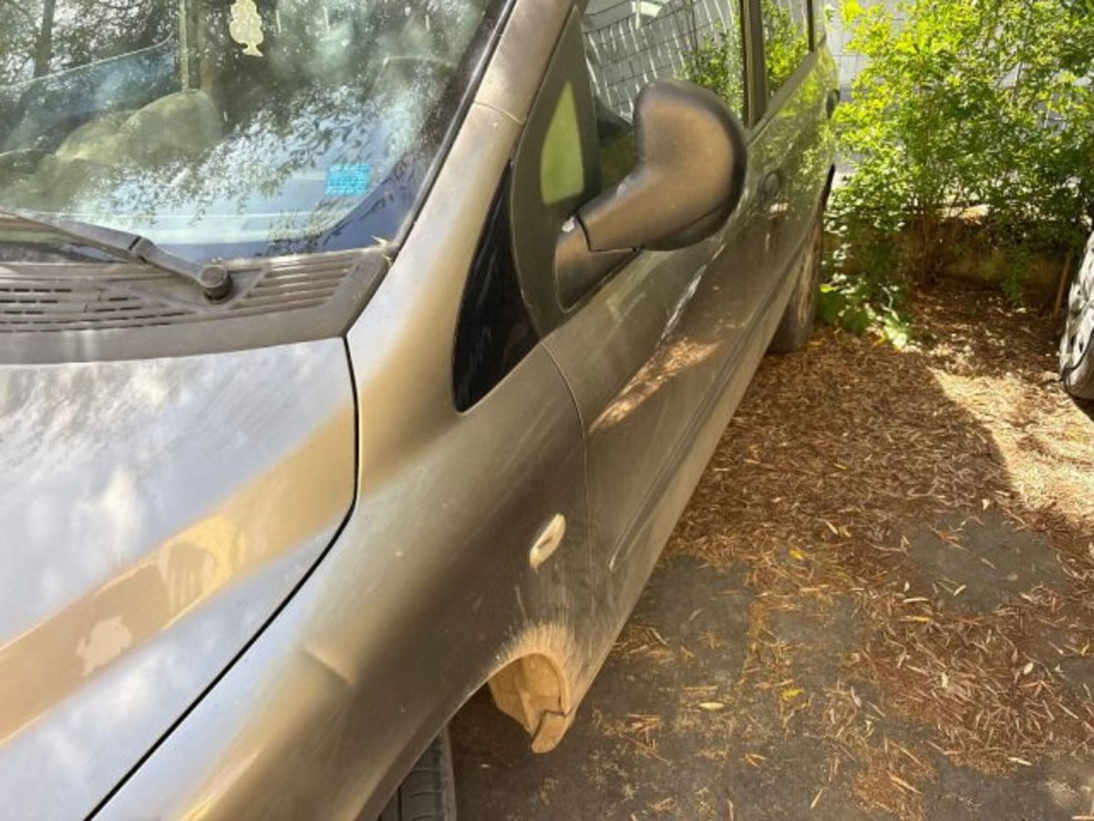 Fiat Multipla 1.6 16V bipower cat ELX (3)